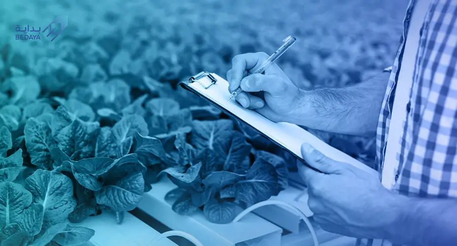 دراسة جدوى مزرعة مائية
